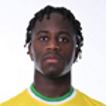صورة Michel Junior