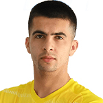 صورة Nediljko