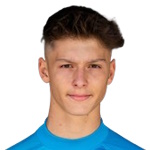 صورة S. Hamzić